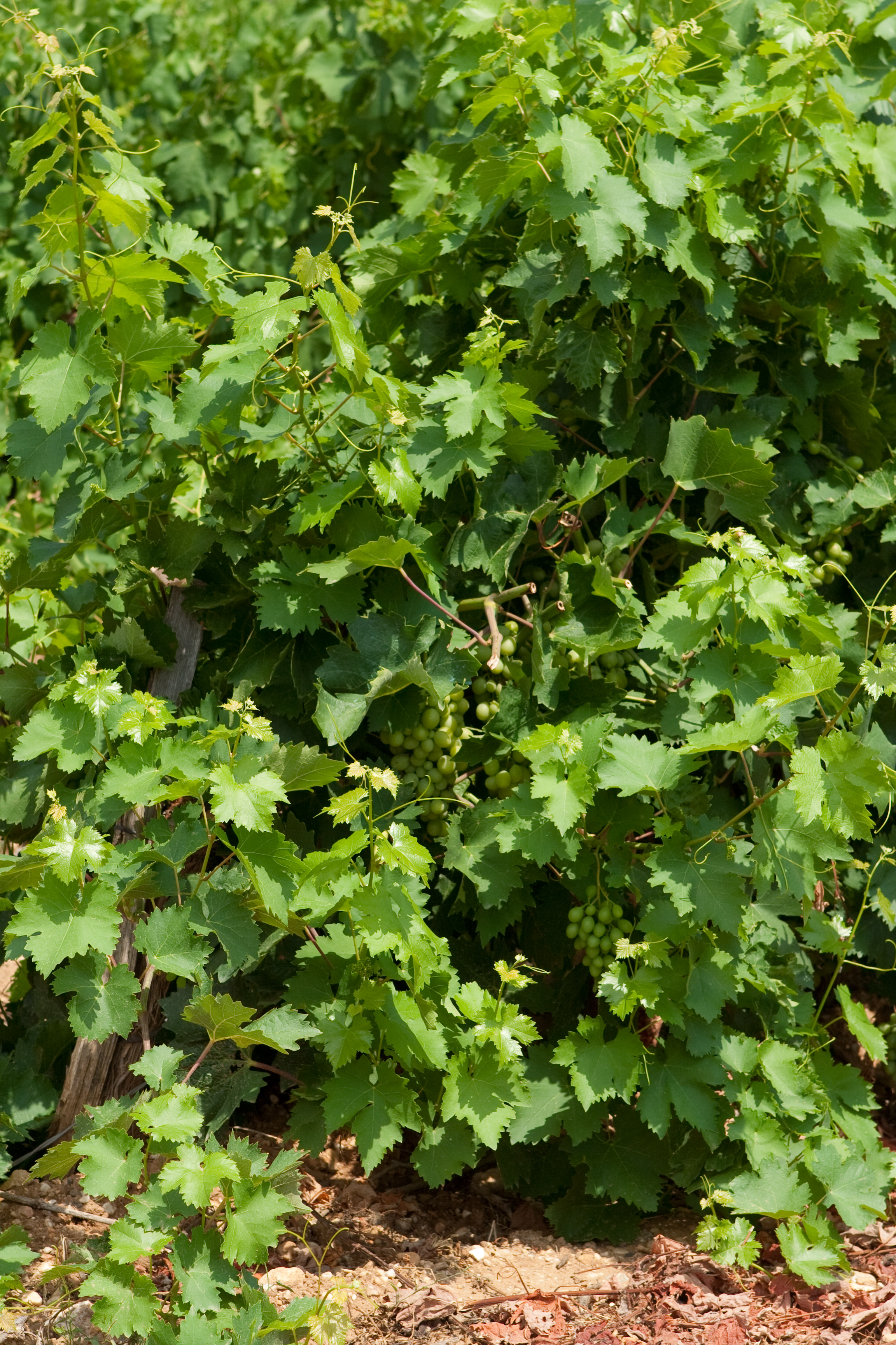 vakantie 2009 ontdekkingsreis-022.jpg